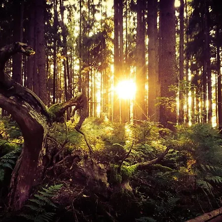 Διαμέρισμα Eichkatzel