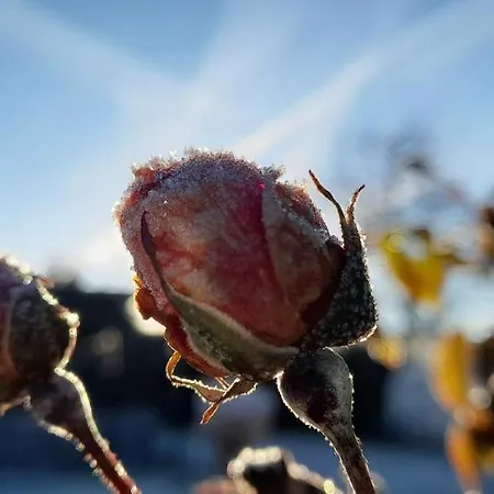 Eichkatzel Διαμέρισμα