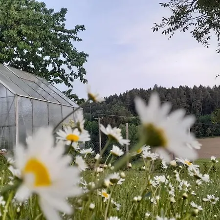 Eichkatzel Διαμέρισμα