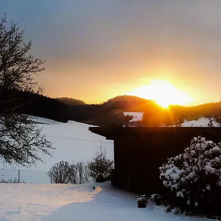 Eichkatzel * Zell (Cham)