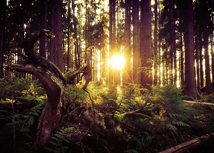 Appartamento Eichkatzel