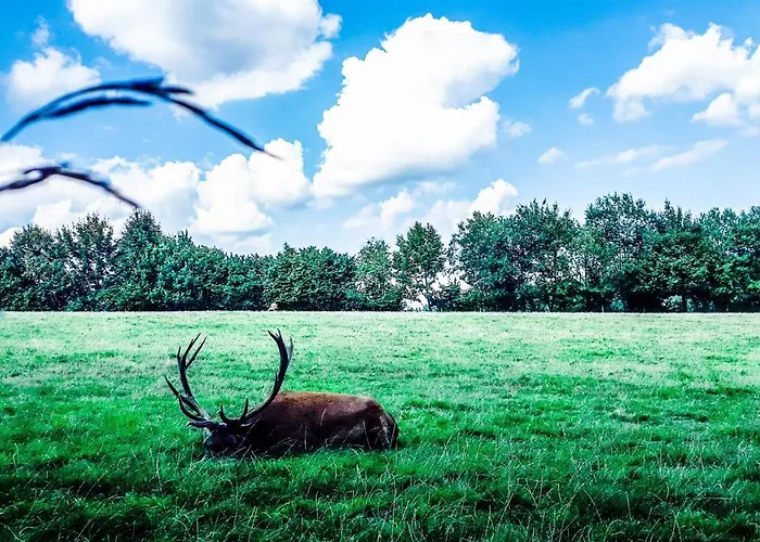 Appartamento Eichkatzel