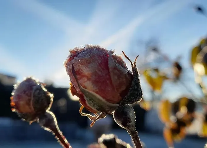 Eichkatzel Appartamento