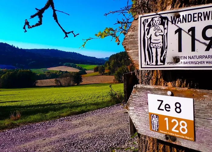 Eichkatzel Zell (Cham)