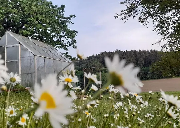 Eichkatzel Appartamento