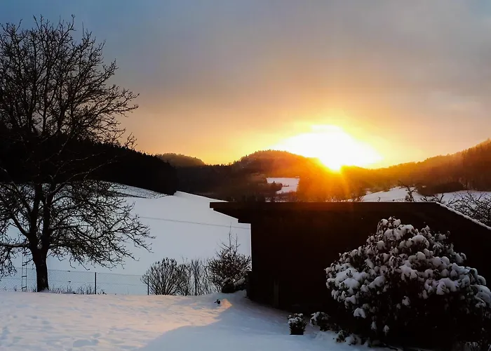 Eichkatzel * Zell (Cham)